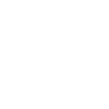 Polish Language